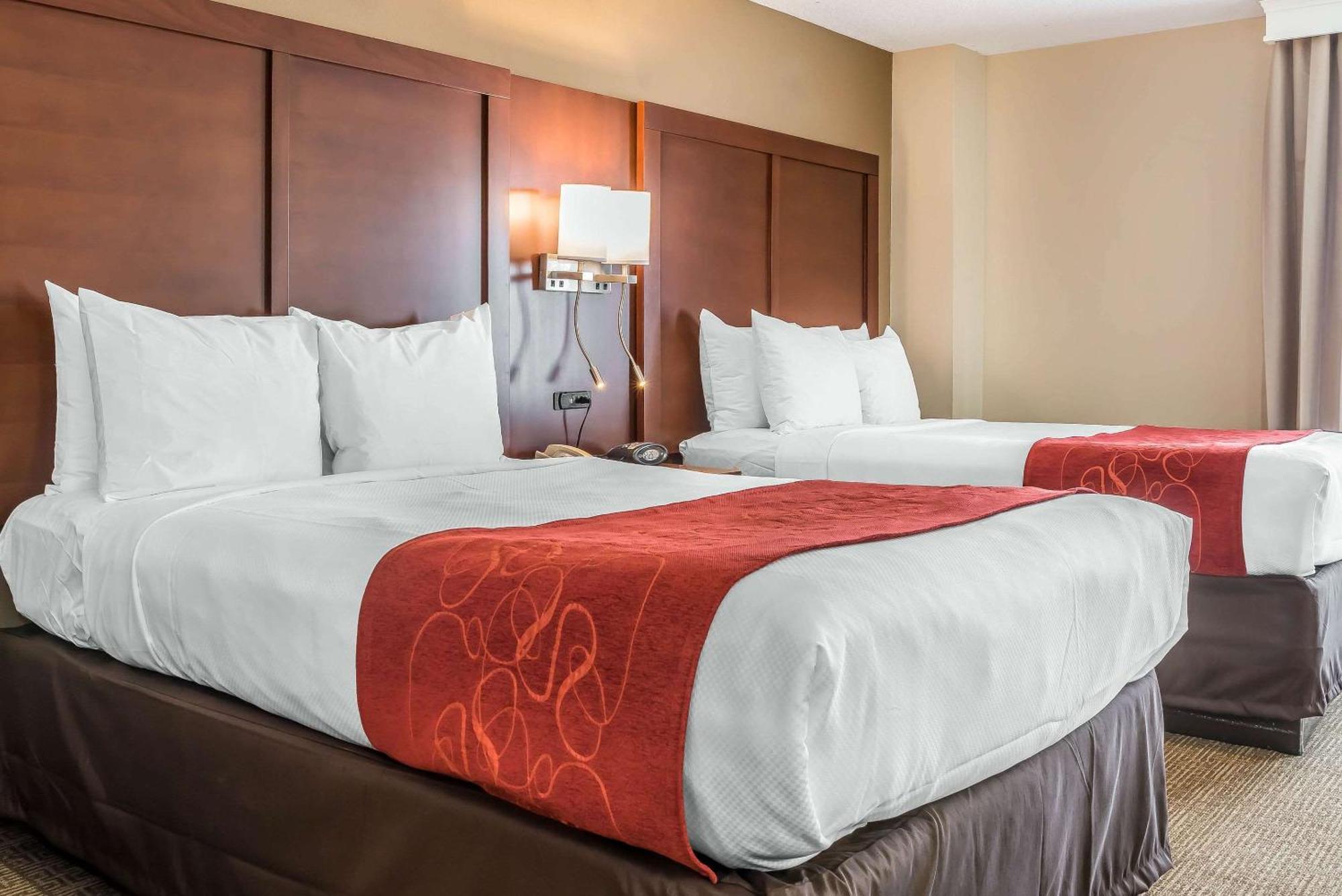 Comfort Hotel