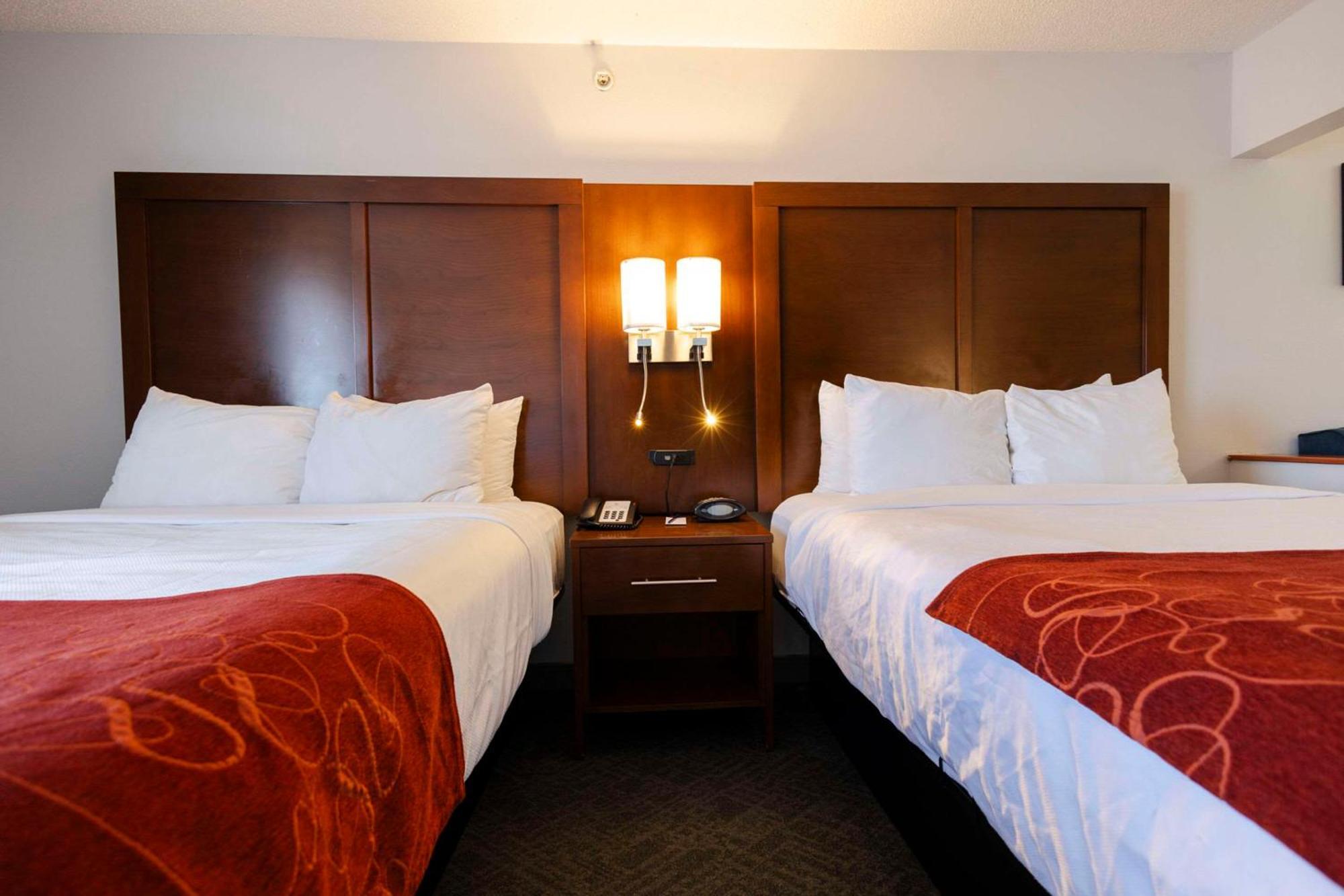 Comfort 3* Springfield